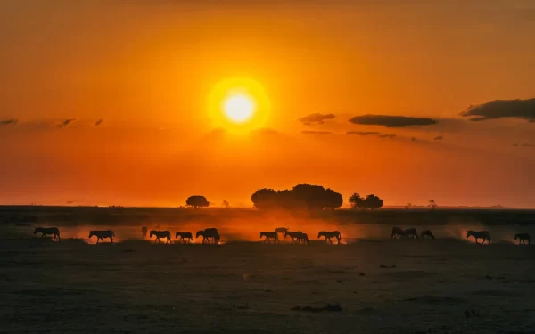 sundowner safari Kenya