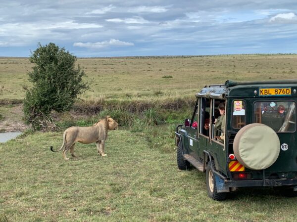 kenya safari 4x4 with driver guide