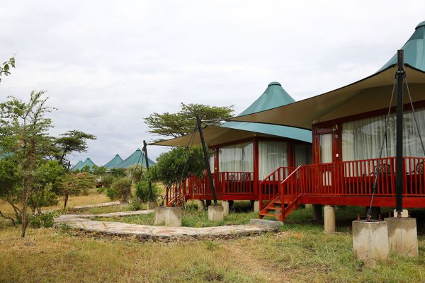 AA lodge masai mara camp