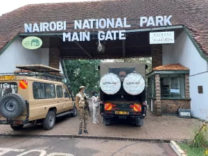 Nairobi National Park Full or Half-Day Tour with Guide