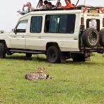 Masai mara car hire