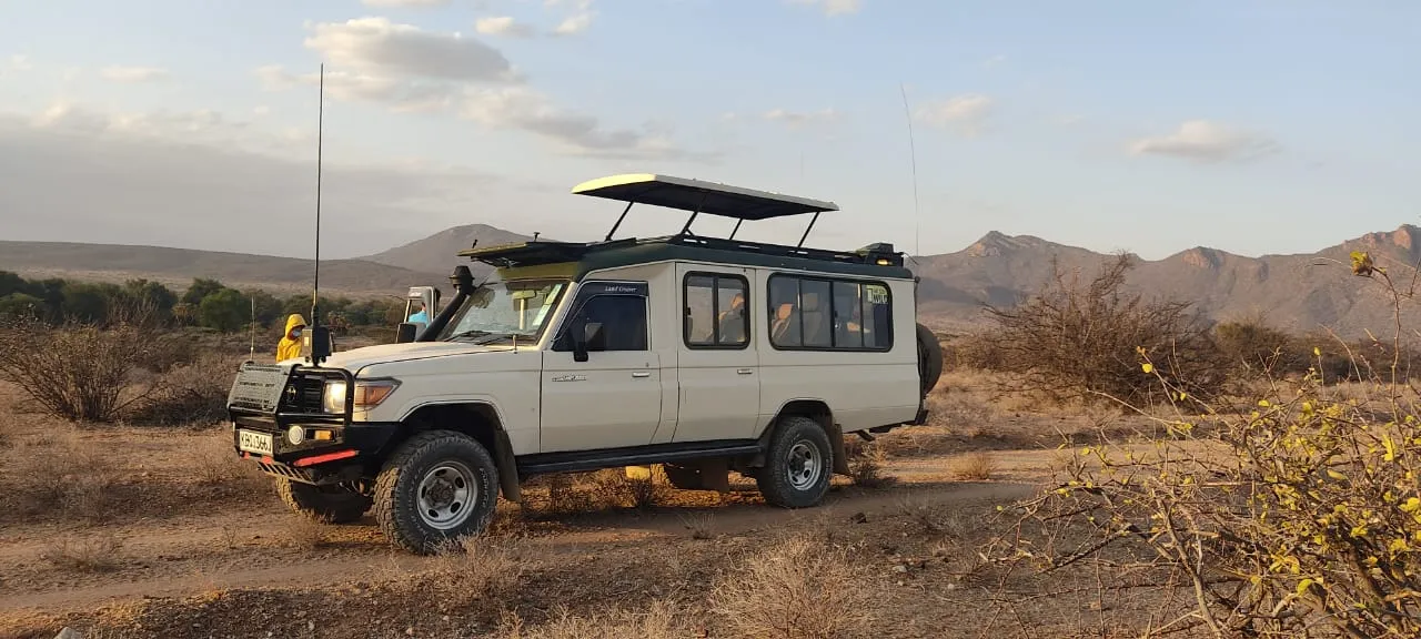 Safari kenya with 4x4 car hire samburu,Amboseli ,Masai mara
