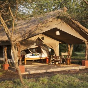 ikoma tented camp safari Tanzania