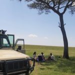Kenyas Safari 4x4 jeep