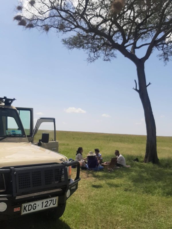 Kenyas Safari 4x4 jeep