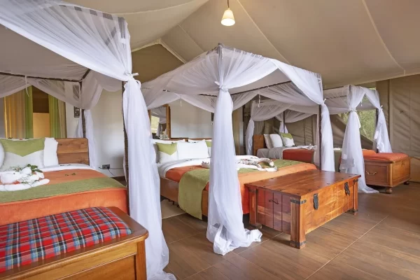Masai Mara Lyok Luxury Safari Package