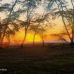 Sundowner Amboseli National park