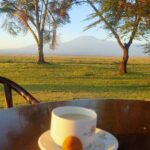 Amboseli view from Oltukai Lodge