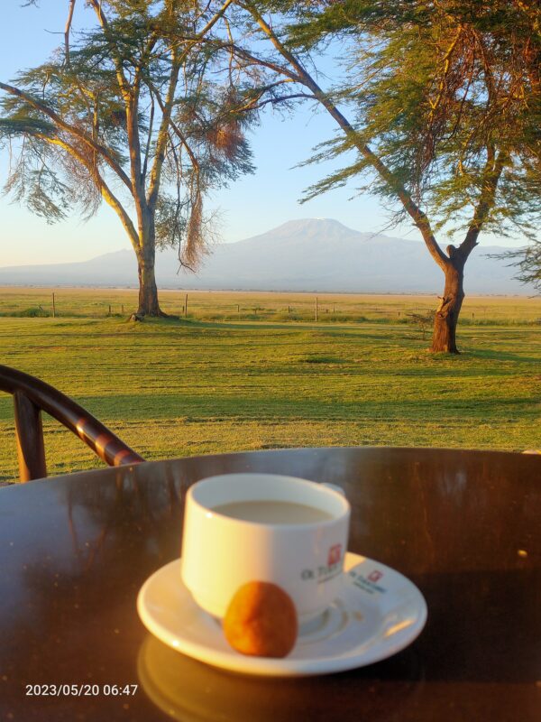 Amboseli view from Oltukai Lodge