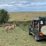 Safari Kenya with 4x4 jeep