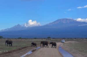 Amboseli private transfers