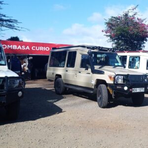Masai mara private transfers from Nairobi or Jkia